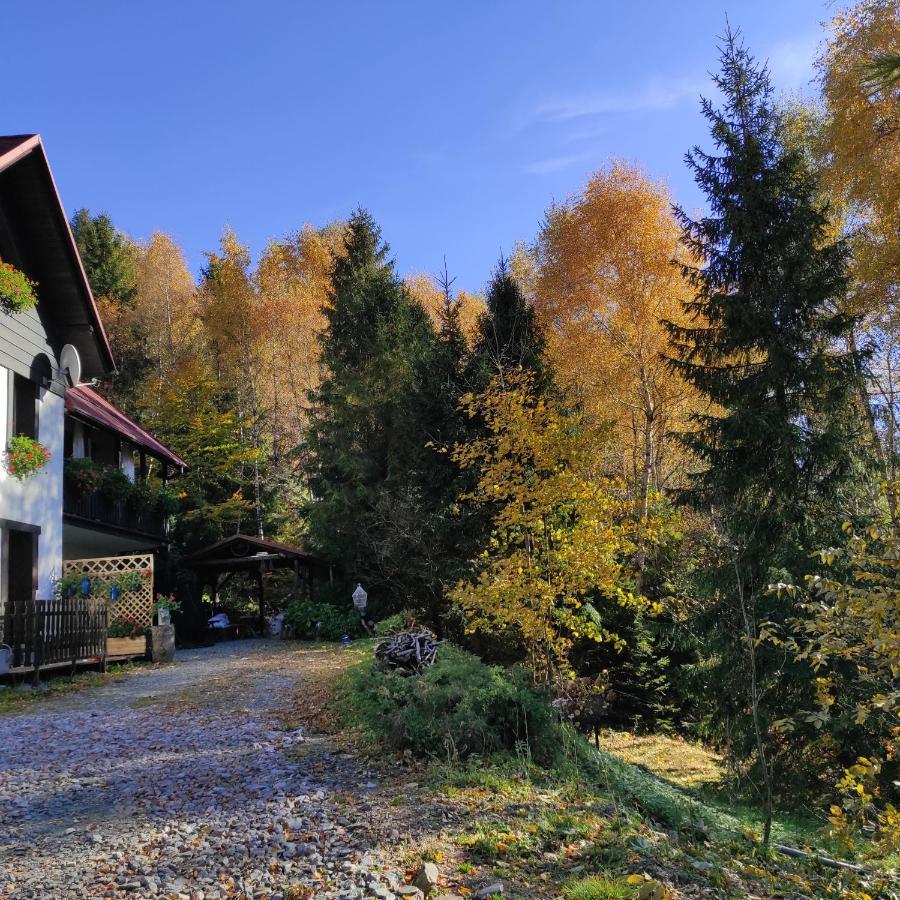 Kocia Gorka Apartment Wisla Luaran gambar