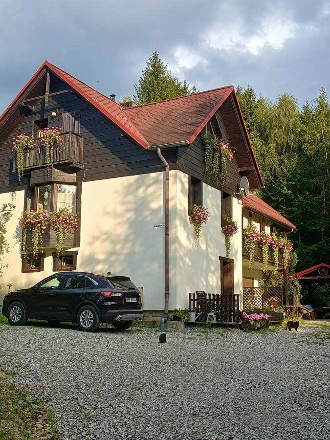 Kocia Gorka Apartment Wisla Luaran gambar